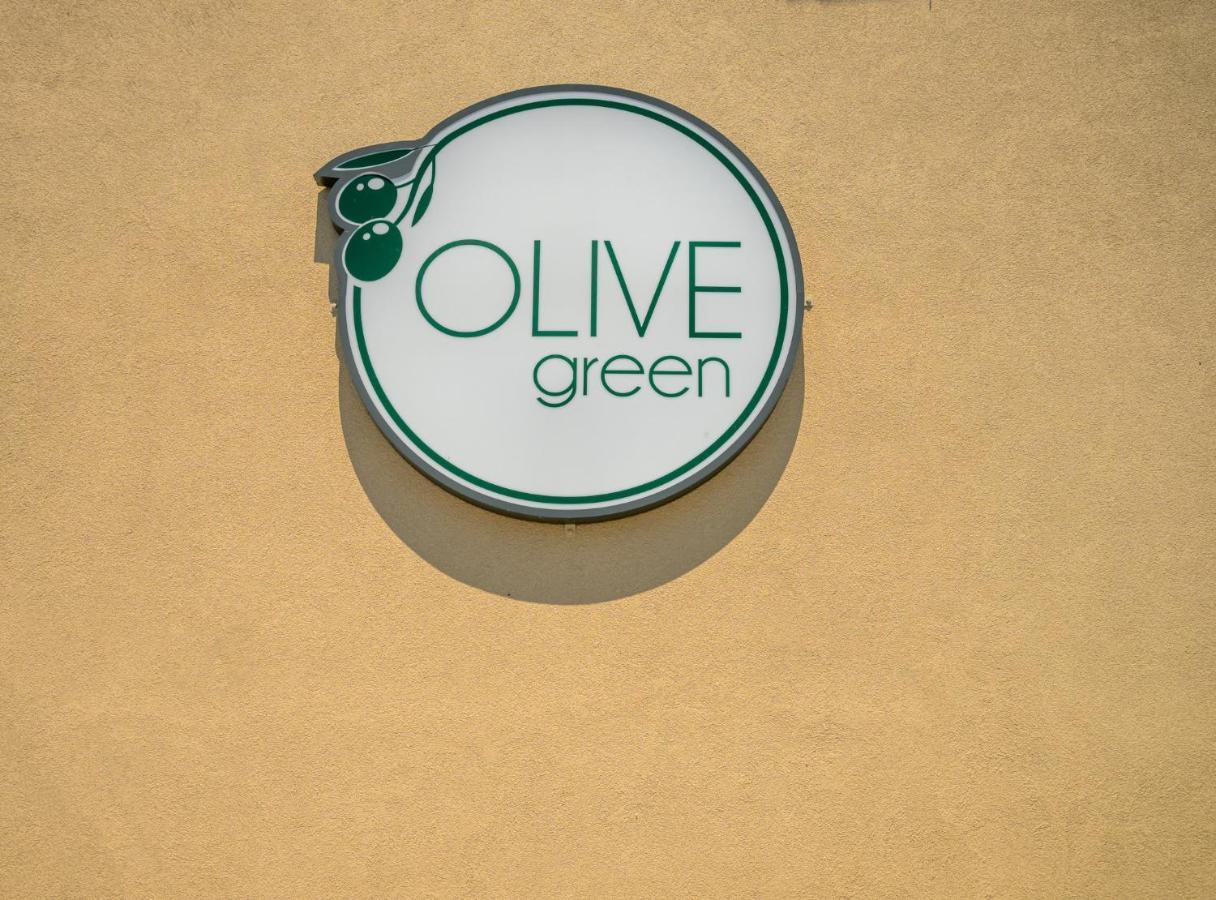 Olive Green Studios And Apartments Plomari エクステリア 写真